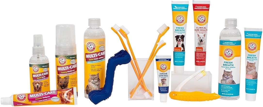 Arm & Hammer for Pets Dog Oral Care Spray, Mint Flavor Breath Freshener with Baking Soda for Brushless Plaque and Tartar Support, Easy Daily Dental Maintenance for Adult Dogs, 4 Fl Oz - Image 8