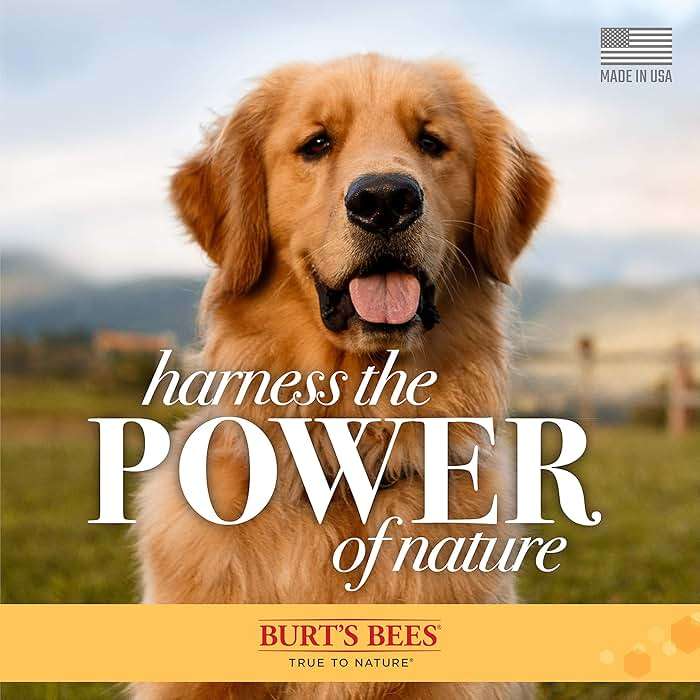Burt's Bees for Pets Oatmeal Dog Conditioner with Colloidal Oat Flour and Honey, Moisturizes and Softens Dry Dog Coats, pH Balanced and Fragrance-Free, 95% Natural Origin, 10 Fl Oz - Image 6