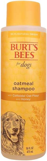 Burt's Bees for Pets Oatmeal Dog Shampoo with Honey, Soothing Formula for Itchy and Sensitive Dog Skin, Colloidal Oat Flour and Honey, pH Balanced, Sulfate-Free, 16 Fl Oz - Image 1