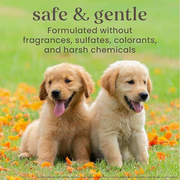 Burt's Bees for Pets Oatmeal Dog Shampoo with Honey, Soothing Formula for Itchy and Sensitive Dog Skin, Colloidal Oat Flour and Honey, pH Balanced, Sulfate-Free, 16 Fl Oz - Image 5