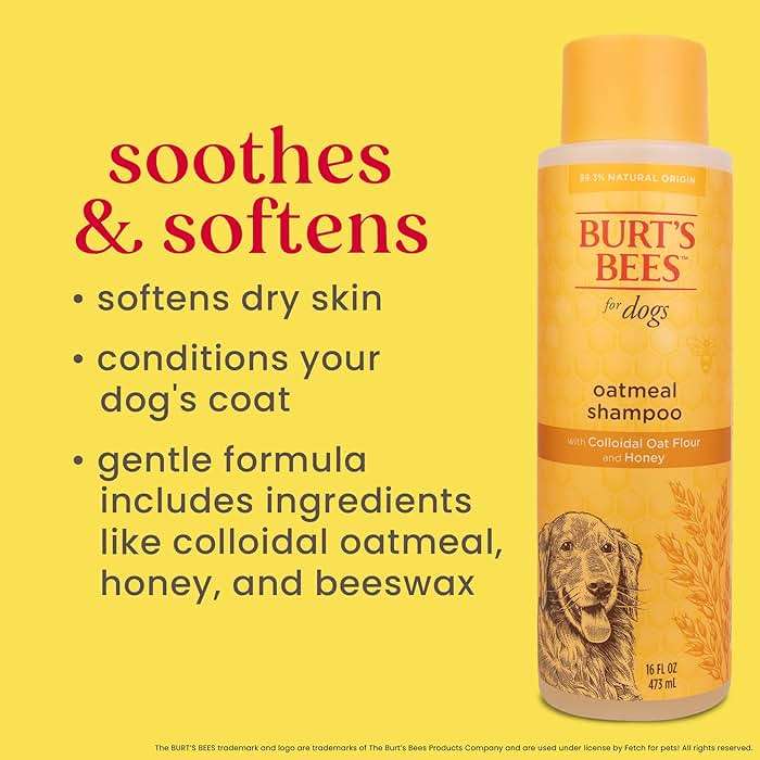 Burt's Bees for Pets Oatmeal Dog Shampoo with Honey, Soothing Formula for Itchy and Sensitive Dog Skin, Colloidal Oat Flour and Honey, pH Balanced, Sulfate-Free, 16 Fl Oz - Image 6