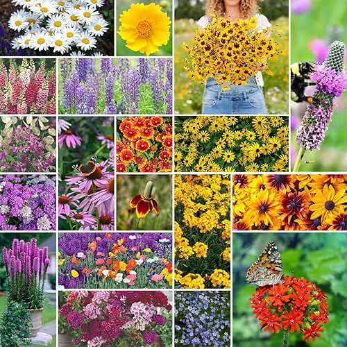 Eden Brothers All Perennial Wildflower Seed Mix for Planting, 1/4 lb, 120,000+ Seeds, Throw and Grow 19 Flower Varieties, Non-GMO Covers 250-500 Sq Ft, Attracts Pollinators, Spring or Fall, Zones 3-10 - Image 1