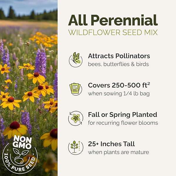Eden Brothers All Perennial Wildflower Seed Mix for Planting, 1/4 lb, 120,000+ Seeds, Throw and Grow 19 Flower Varieties, Non-GMO Covers 250-500 Sq Ft, Attracts Pollinators, Spring or Fall, Zones 3-10 - Image 2