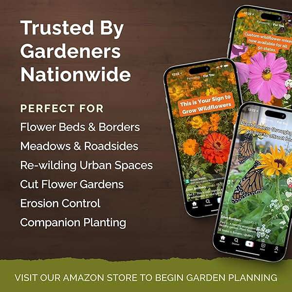 Eden Brothers All Perennial Wildflower Seed Mix for Planting, 1/4 lb, 120,000+ Seeds, Throw and Grow 19 Flower Varieties, Non-GMO Covers 250-500 Sq Ft, Attracts Pollinators, Spring or Fall, Zones 3-10 - Image 5