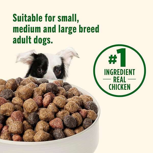 Nutrish Dry Dog Food Real Chicken & Veggies Recipe Whole Health Blend, 40 lb. Bag, (Rachael Ray) - Image 6