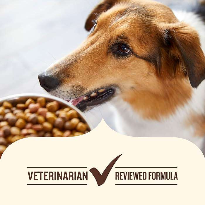 Nutrish Dry Dog Food Real Chicken & Veggies Recipe Whole Health Blend, 40 lb. Bag, (Rachael Ray) - Image 7