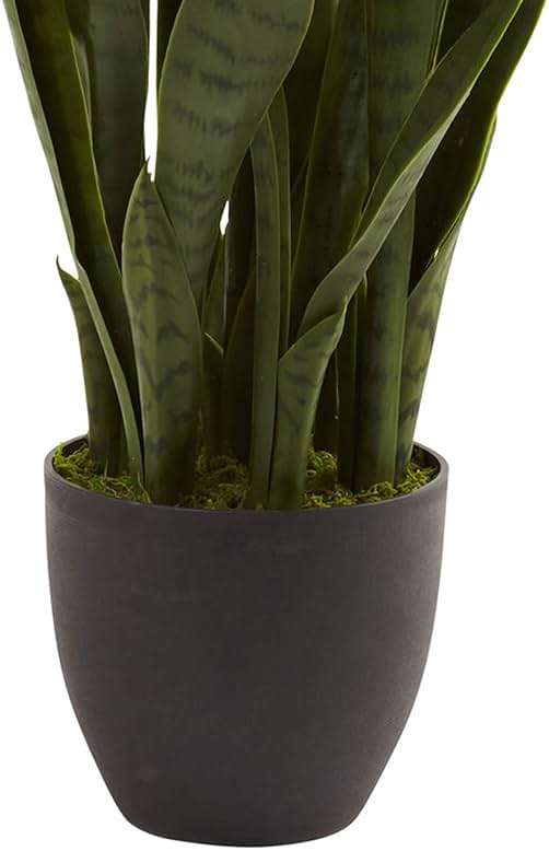 Nearly Natural, Green 4855 35in. Sansevieria with Black Planter - Image 6