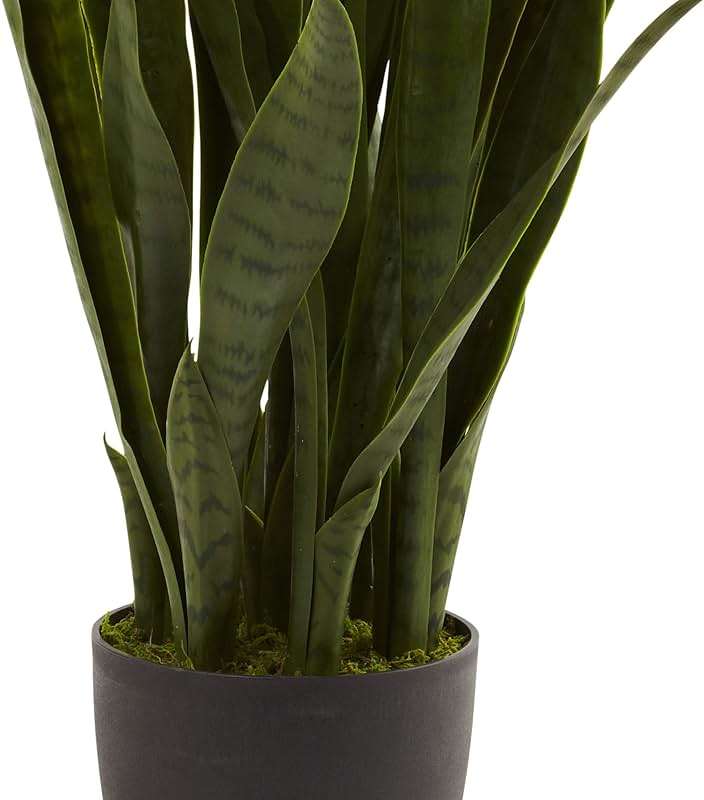 Nearly Natural, Green 4855 35in. Sansevieria with Black Planter - Image 7