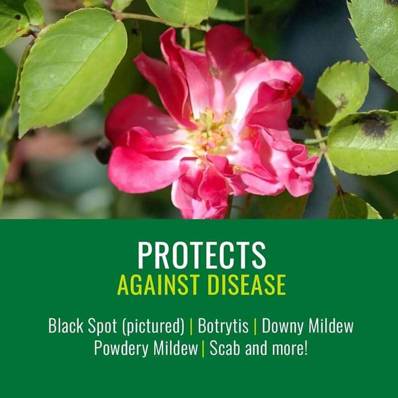 Natria Neem Oil Spray for Plants Pest Organic Disease Control, 24-Ounce, Ready-to-Use, 1.5 Pounds - Image 3