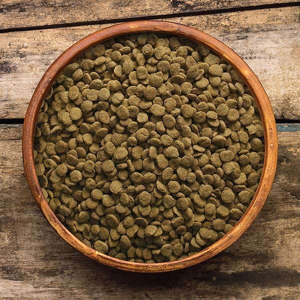 Wells Pet Food Earthborn Holistic Natural Food for Pet Weight Control, 28-Pound Bag, Model Number: 1710496 - Image 3