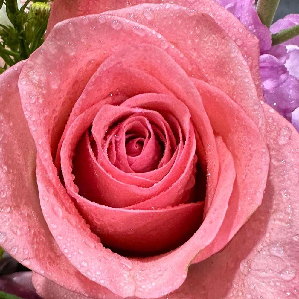 Chrysal Glory Flower and Foliage Finish — Floral Supplies for Fresh Flowers — Spray for Fresh Cut Flower Arrangements — Cut Flower Preservative Spray — Ideal Florist Supplies - Image 5