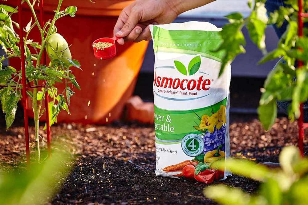 Osmocote Smart-Release Plant Food Flower & Vegetable - Continuous Release Plant Fertilizer for Vegetables and More, 8 lb. - Image 4
