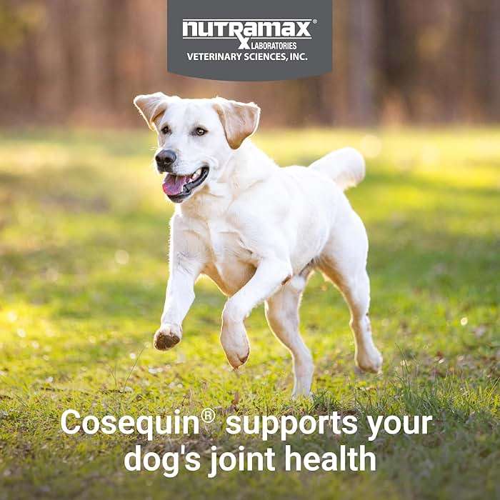 Nutramax Cosequin for Dogs Joint Health Supplement, Contains Glucosamine for Dogs, Plus Chondroitin and MSM, Supports Healthy Joints, Chewable Tablets, 250 Count - Image 3
