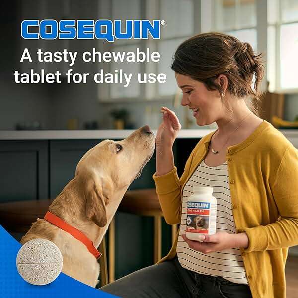 Nutramax Cosequin for Dogs Joint Health Supplement, Contains Glucosamine for Dogs, Plus Chondroitin and MSM, Supports Healthy Joints, Chewable Tablets, 250 Count - Image 4