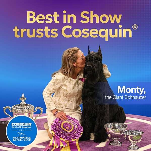 Nutramax Cosequin for Dogs Joint Health Supplement, Contains Glucosamine for Dogs, Plus Chondroitin and MSM, Supports Healthy Joints, Chewable Tablets, 250 Count - Image 6