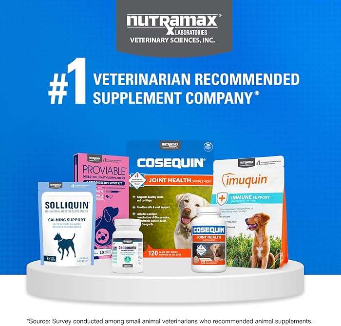 Nutramax Cosequin for Dogs Joint Health Supplement, Contains Glucosamine for Dogs, Plus Chondroitin and MSM, Supports Healthy Joints, Chewable Tablets, 250 Count - Image 9