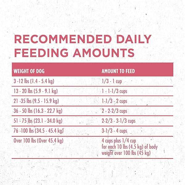 Purina ONE Natural, Sensitive Stomach Dry Dog Food, +Plus Skin & Coat Formula - 16.5 lb. Bag - Image 10