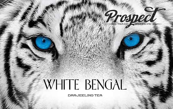 Prospect Tea Co. White Bengal Darjeeling Tea Pods Compatible with K Cup Brewers Including 2.0, 40 Count - Image 5