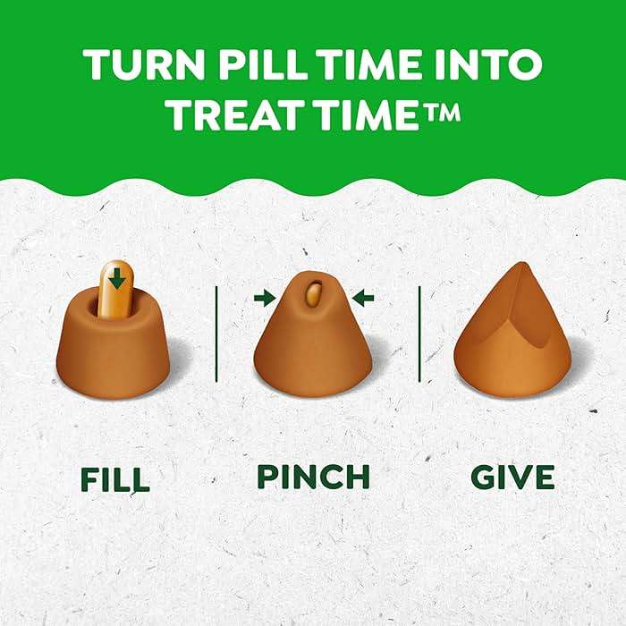 Greenies Pill Pockets for Dogs Large Size, Dog Treat Pouch for Capsule Medication, Chicken Flavor, 15.8 oz. Pouch - Image 3