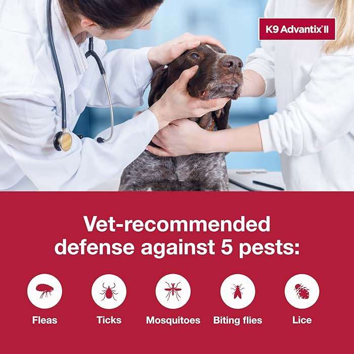 K9 Advantix II XL Dog Vet-Recommended Flea, Tick & Mosquito Treatment & Prevention | Dogs Over 55 lbs. | 2-Mo Supply - Image 5