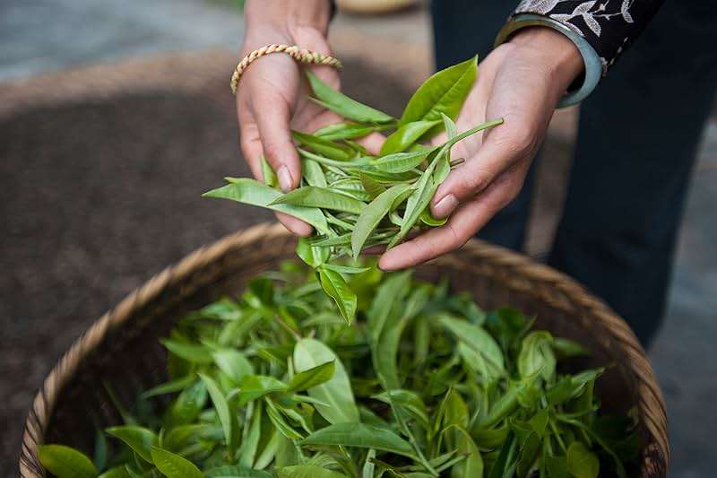 Palais des Thés - Blue of London - Earl Grey Black Tea, Bergamot & Cornflower - Premium Tea Bags, Serves 20 Cups - Image 6