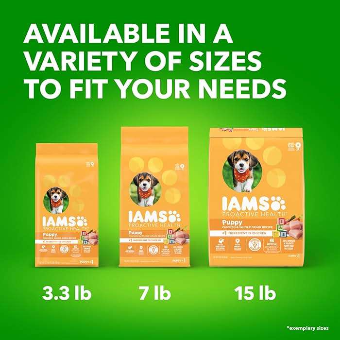 IAMS Proactive Health Dry Dog Food, Premium Dog Food Dry Recipe, 15 lb. Bag - Image 13