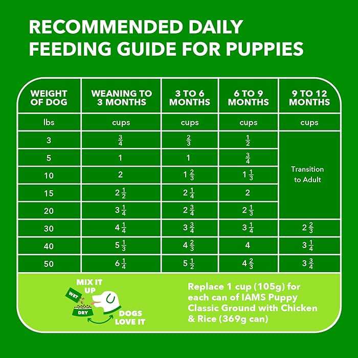 IAMS Proactive Health Dry Dog Food, Premium Dog Food Dry Recipe, 15 lb. Bag - Image 6