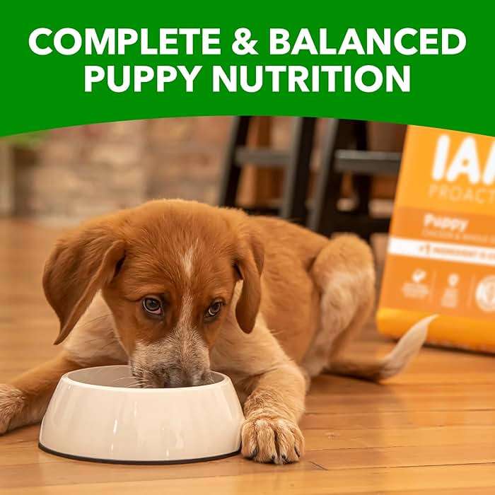 IAMS Proactive Health Dry Dog Food, Premium Dog Food Dry Recipe, 15 lb. Bag - Image 10