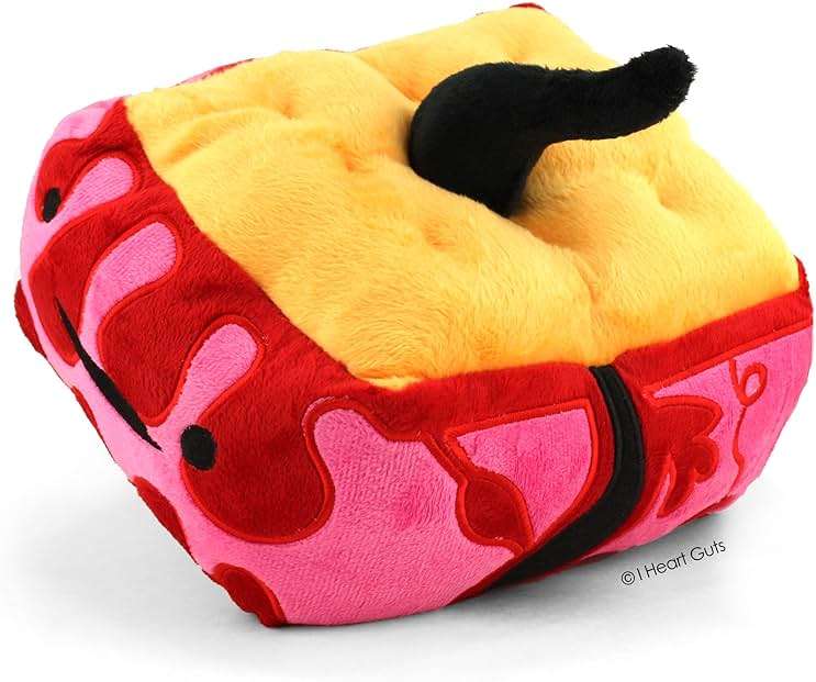 I Heart Guts Skin Plush - 9" Cute Educational Body Tissue Toy for Dermatology & Eczema - Funny Get Well Gift for Nurse Patients & Medical Student STEM Anatomy Plushie - Image 2