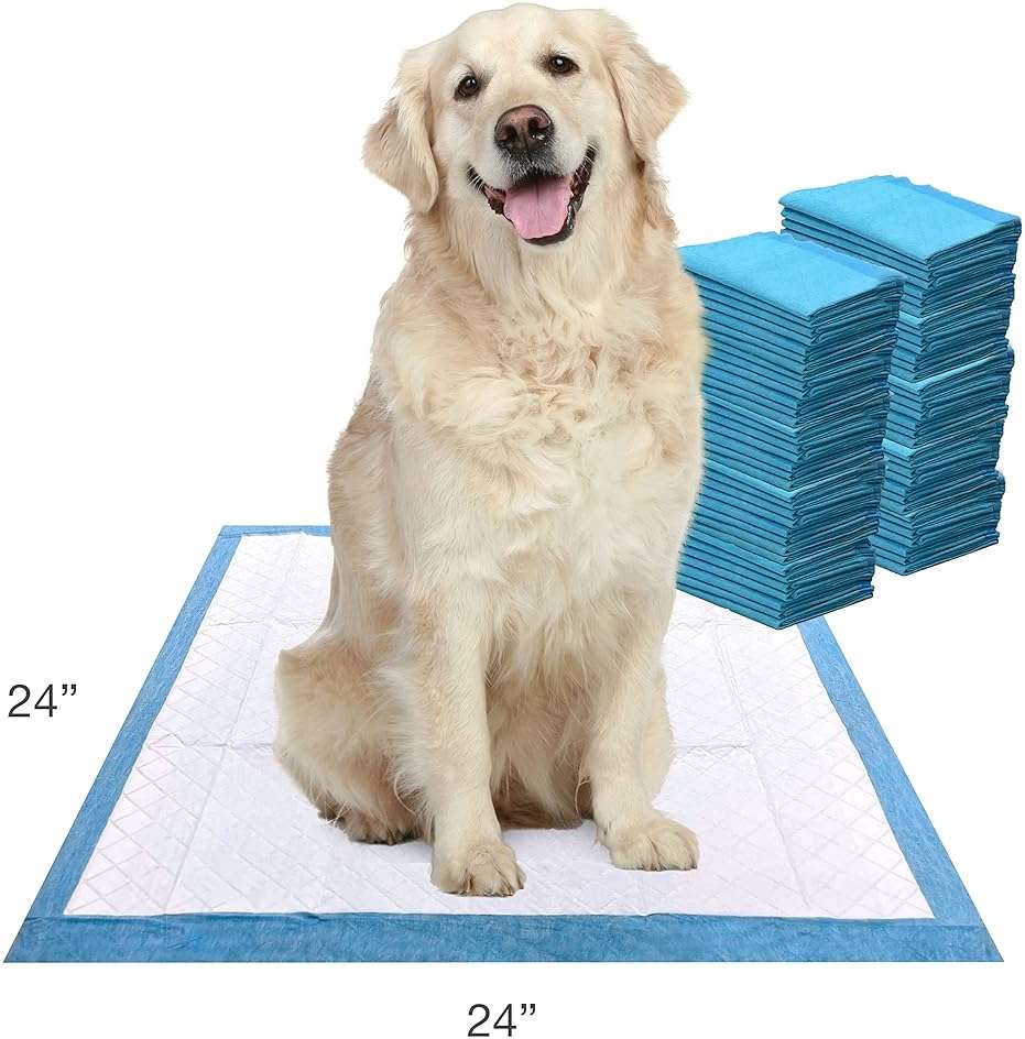 Four Paws Wee-Wee Super Absorbent Unscented Pee Pads for Dogs & Puppies with Insta-Rise Border, Leak-Proof Dog Housebreaking Potty Training Floor Protection, 24" x 24", 75 Count (Packaging May Vary) - Image 2