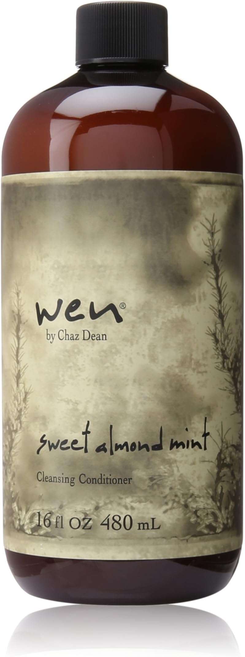 Chaz Dean Wen Cleansing Conditioner, Sweet Almond Mint, 16 Ounce - Image 1