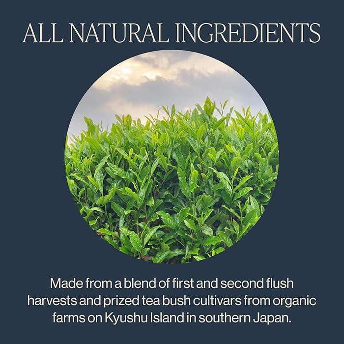 Rishi Tea Sencha Green Tea - Organic Sachet Bags, Caffeinated Japanese Green Tea, Enjoy Hot or Iced - 15 Count (Pack of 1) - Image 3
