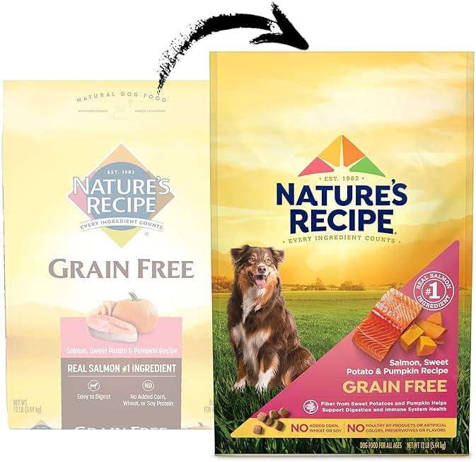 Nature's Recipe Grain Free Dry Dog Food, Salmon, Sweet Potato & Pumpkin Recipe, 12 lb. Bag - Image 2