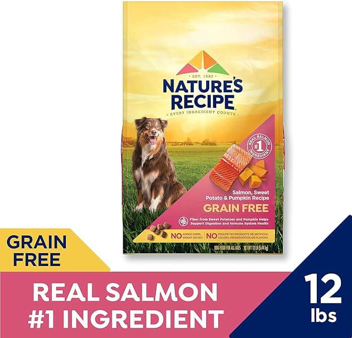 Nature's Recipe Grain Free Dry Dog Food, Salmon, Sweet Potato & Pumpkin Recipe, 12 lb. Bag - Image 4