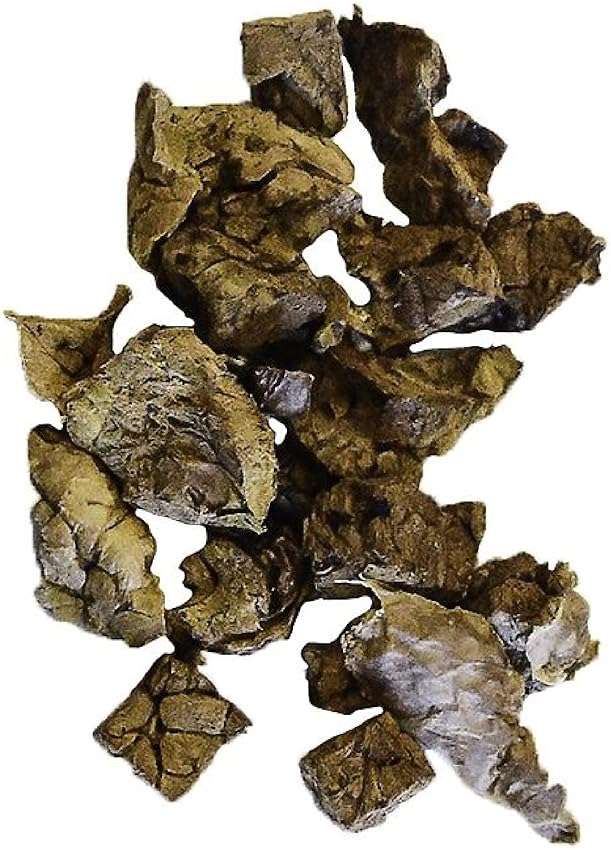 NATURE'S LOGIC Beef Lung Dog & Cat Treats - 100% Natural Midwest USDA Beef Source - Roasted Treats for Dogs and Cats - No Synthetics - 78% Protein - Beef Lung Treat, 1lb - Image 2