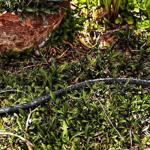 Heavy Duty Nylon Standard 3/4 X 50 Flat Soaker Seeper Drip Irrigation Hose - Image 2