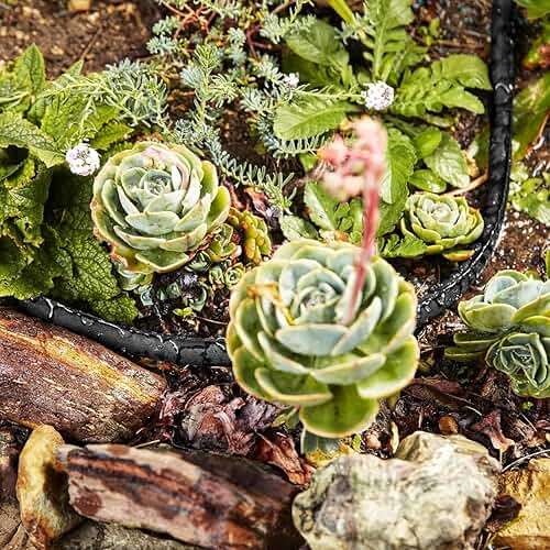 Heavy Duty Nylon Standard 3/4 X 50 Flat Soaker Seeper Drip Irrigation Hose - Image 4
