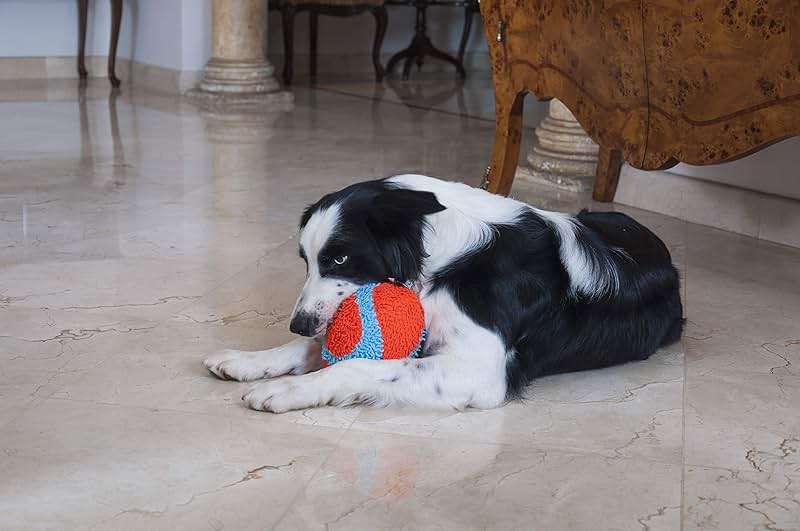 Chuckit! Indoor Fumbler Toy for Dogs - Interactive Dog Toys for Boredom, 7.5 Inch, Orange and Blue Roller - Image 2
