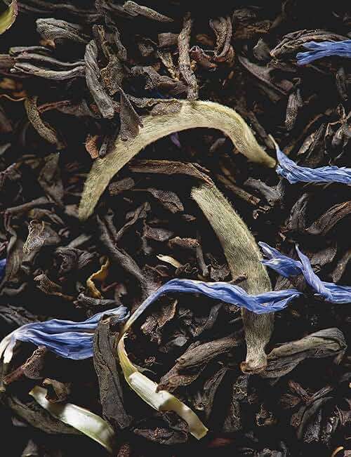 Dammann Freres Sachets, Earl Grey Tea Bags, Premium Gourmet French Black and Citrus Infused Tea, 25 Count (Single Pack) - Image 3