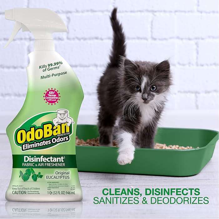 OdoBan Ready-to-Use Disinfectant and Odor Eliminator, 32 Ounce Spray Bottle, Original Eucalyptus Scent - Image 5