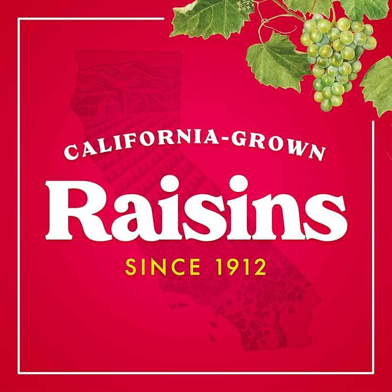 Sun-Maid Vanilla Yogurt Coated Raisins - (6 Pack) 1 oz Snack-Size Box - Yogurt Covered Dried Fruit for Lunches and Back To School Snacks - Image 8