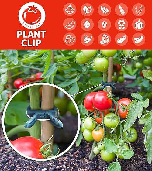 Sago Brothers 40 PCS Plant Clips Garden Clips for Tomato Cage, Tomatoes Clips Plant Support Clips for Bamboo Stakes, Climbing Plants, Vines, Gentle Plant & Flower Trellis Clips for Plant Stalks, Stems - Image 5
