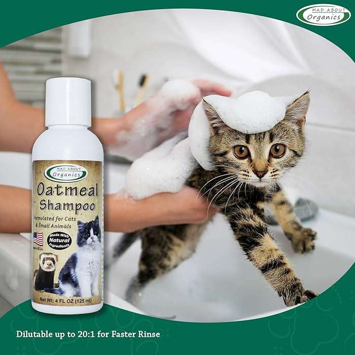 Mad About Organics Oatmeal Shampoo for Cats & Small Pets – Gentle, Balanced Formula for Skin & Coat Health – Comforts Dry Skin Care for Small Pets 4 Weeks & Up, Including Pregnant Pets – 4 oz - Image 5