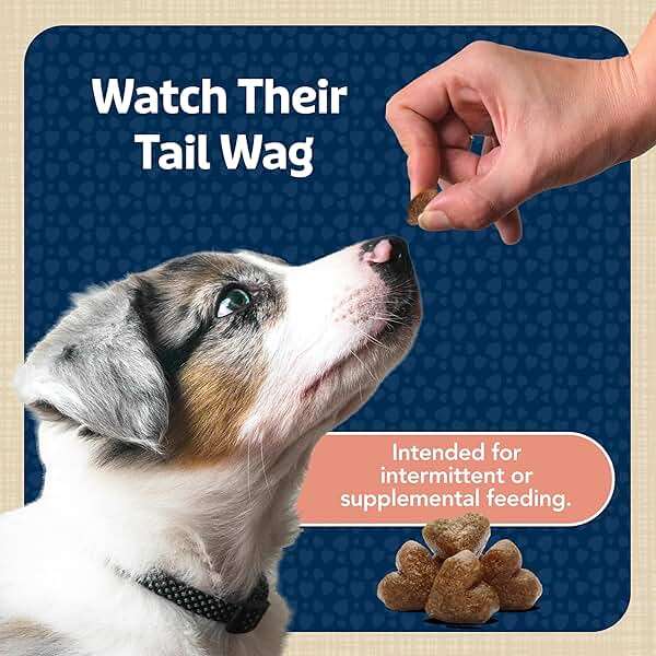 Blue Buffalo Bits Soft Dog Treats for Training, Made with Natural Ingredients & Enhanced with DHA, Salmon Recipe, 4-oz Bag - Image 9
