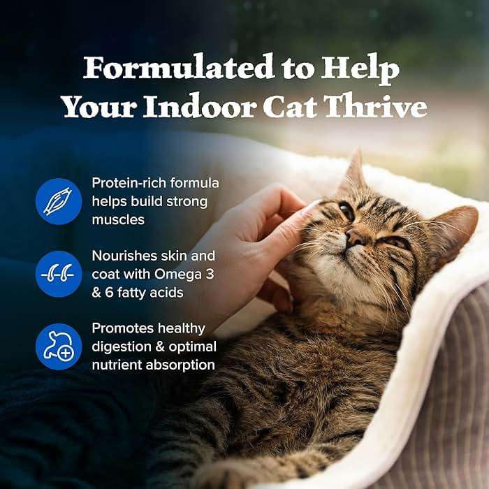Blue Buffalo Wilderness Chicken Natural High-Protein Grain-Free Dry Food for Adult Indoor Cats, Real Chicken First, Antioxidant-Rich LifeSource Bits Support Immunity, Promotes Strong Muscles, 11 lbs. - Image 6