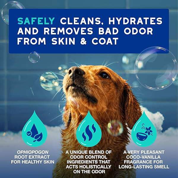 DOUXO SPA Dog Shampoo for Smelly Dogs, 16 fl oz, Hydrates the Skin, Removes Bad Odor, Leaves the Coat Soft and Smelling Great, Ultra-Safe Formula - Image 3