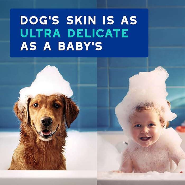 DOUXO SPA Dog Shampoo for Smelly Dogs, 16 fl oz, Hydrates the Skin, Removes Bad Odor, Leaves the Coat Soft and Smelling Great, Ultra-Safe Formula - Image 4
