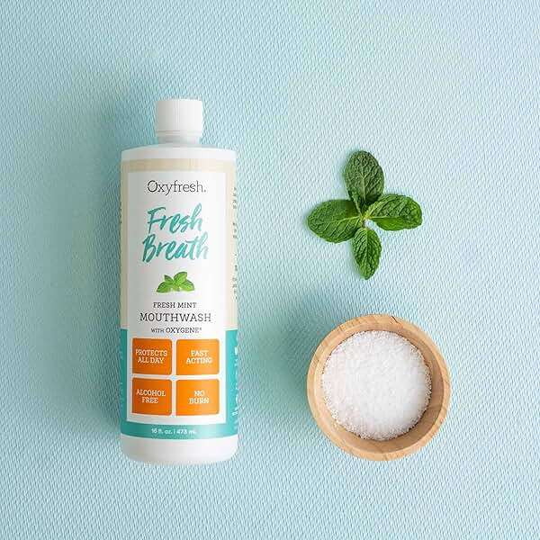 Oxyfresh Fresh Mint Flavored Mouthwash for Adults, Fresh Breath & Bad Breath Treatment – Dentist Recommended for Long - Lasting Fresher & Healthy Gums - Alcohol & Fluoride Free - 16 Fl Oz - Image 2