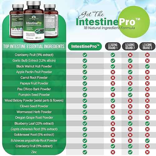 IntestinePro - Gut Health Supplement with Non-GMO Wormwood, Black Walnut, Clove, Pumpkin Seed + 14 More Premium Ingredients - Natural Support for Humans - 60 Vegetarian Capsules - Image 2