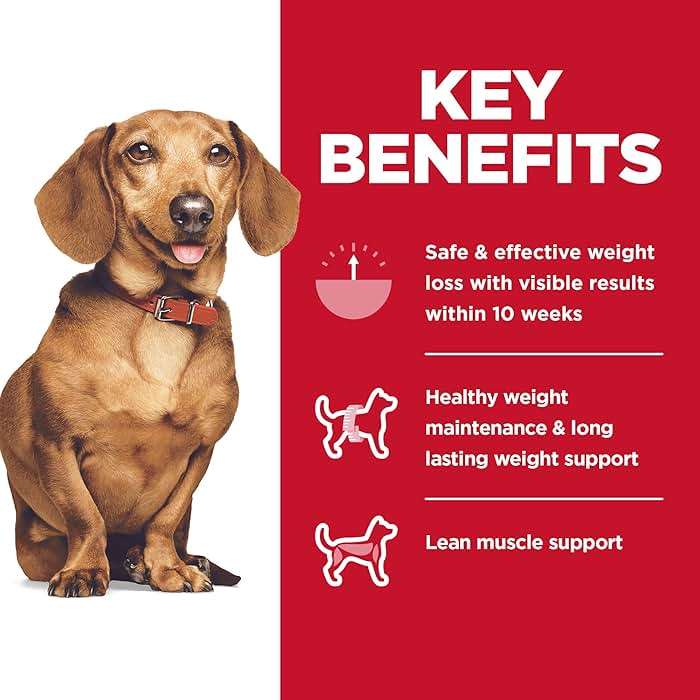 Hill's Science Diet Adult Perfect Weight Small & Mini Dry Dog Food, Chicken, 4 lb. Bag - Image 4
